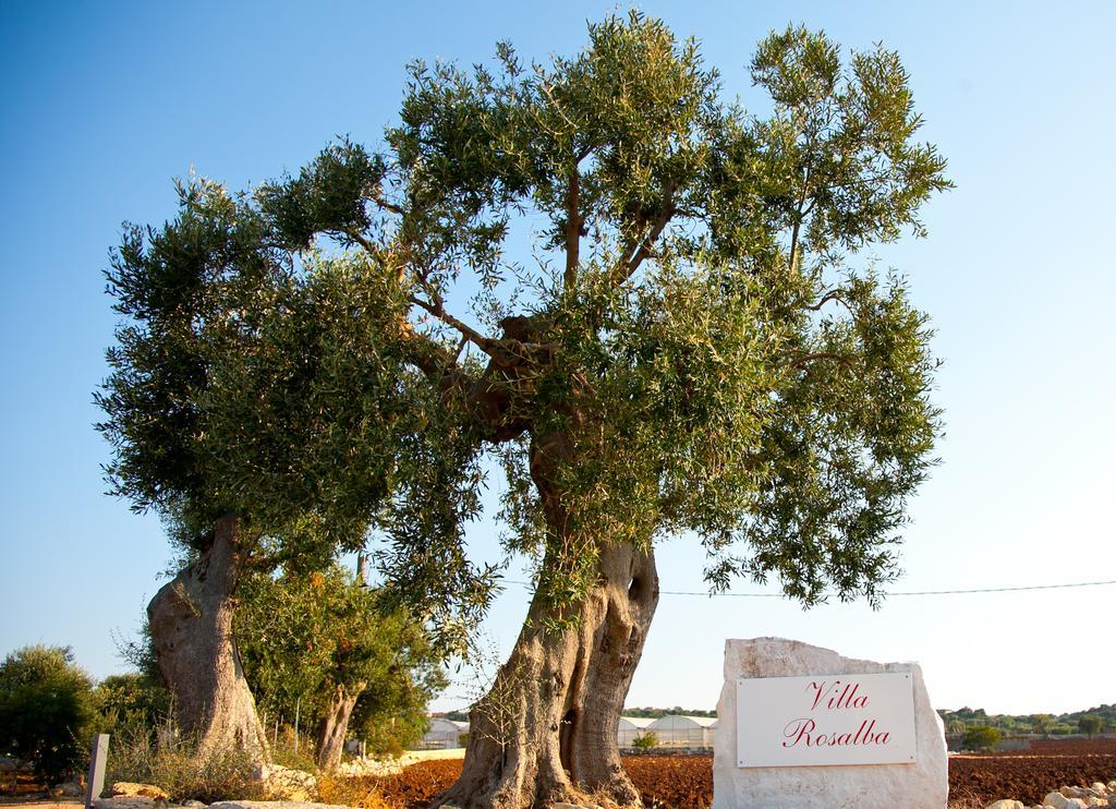 Villa Rosalba Polignano a Mare Kültér fotó